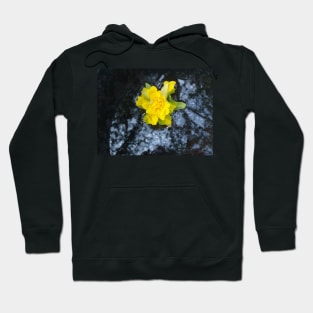 ''Such a Narcissus" natural floral photo product Hoodie